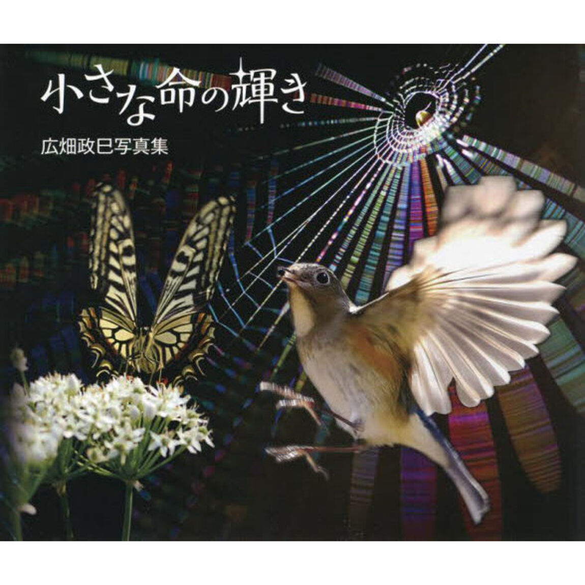 小さな命の輝き　広畑政巳写真集