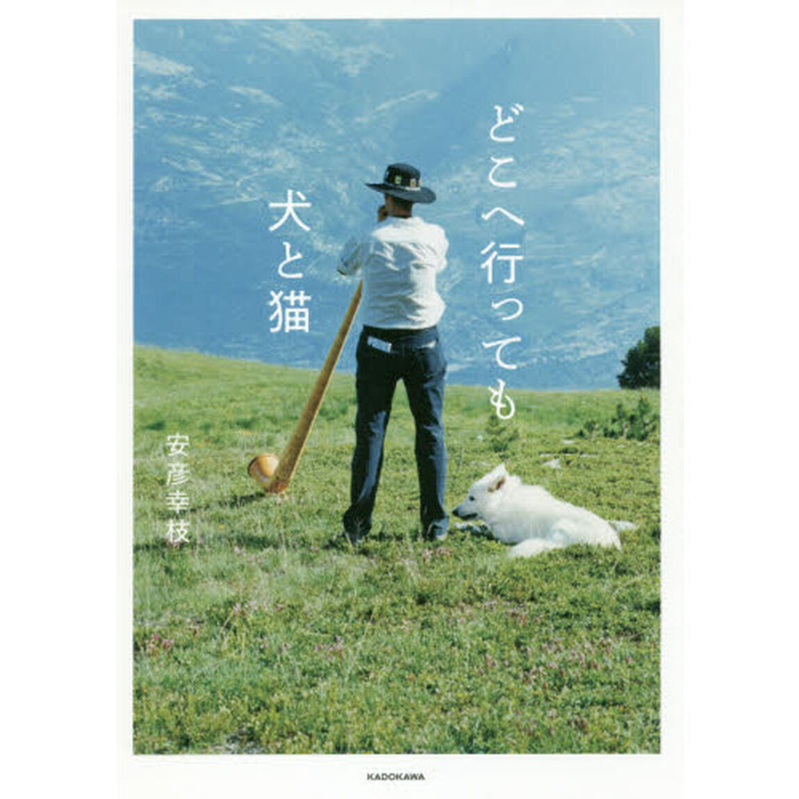 どこへ行っても犬と猫