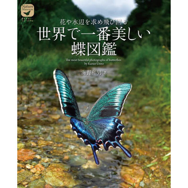 花や水辺を求め飛び回る世界で一番美しい蝶図鑑