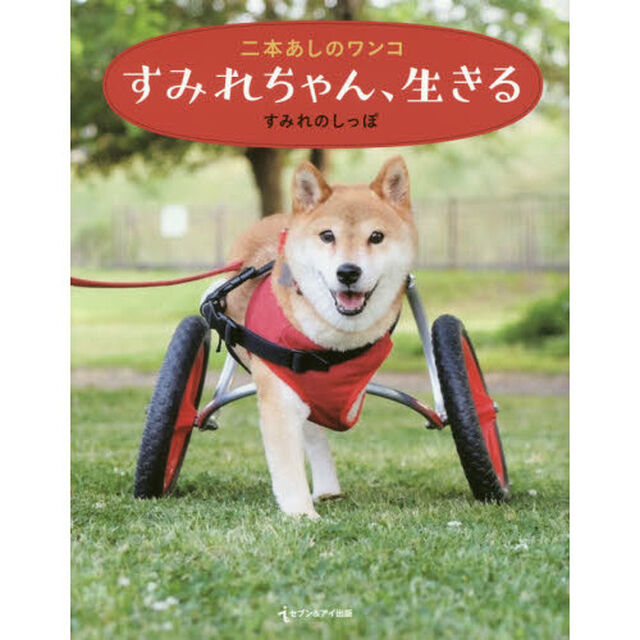 すみれちゃん、生きる　二本あしのワンコ