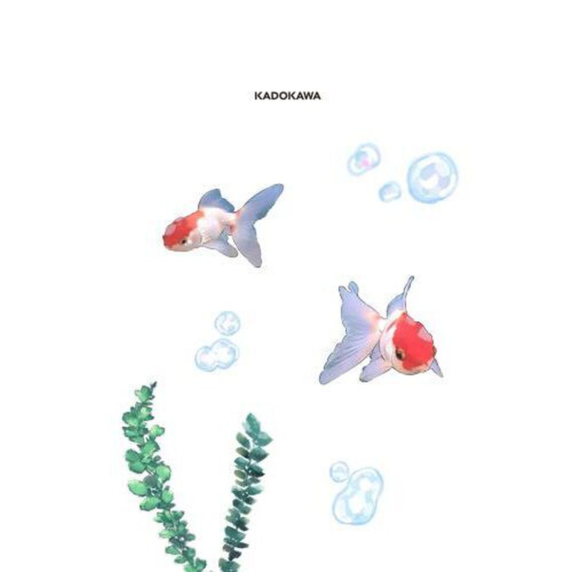 金魚屋さんのかりそめ夫婦　３