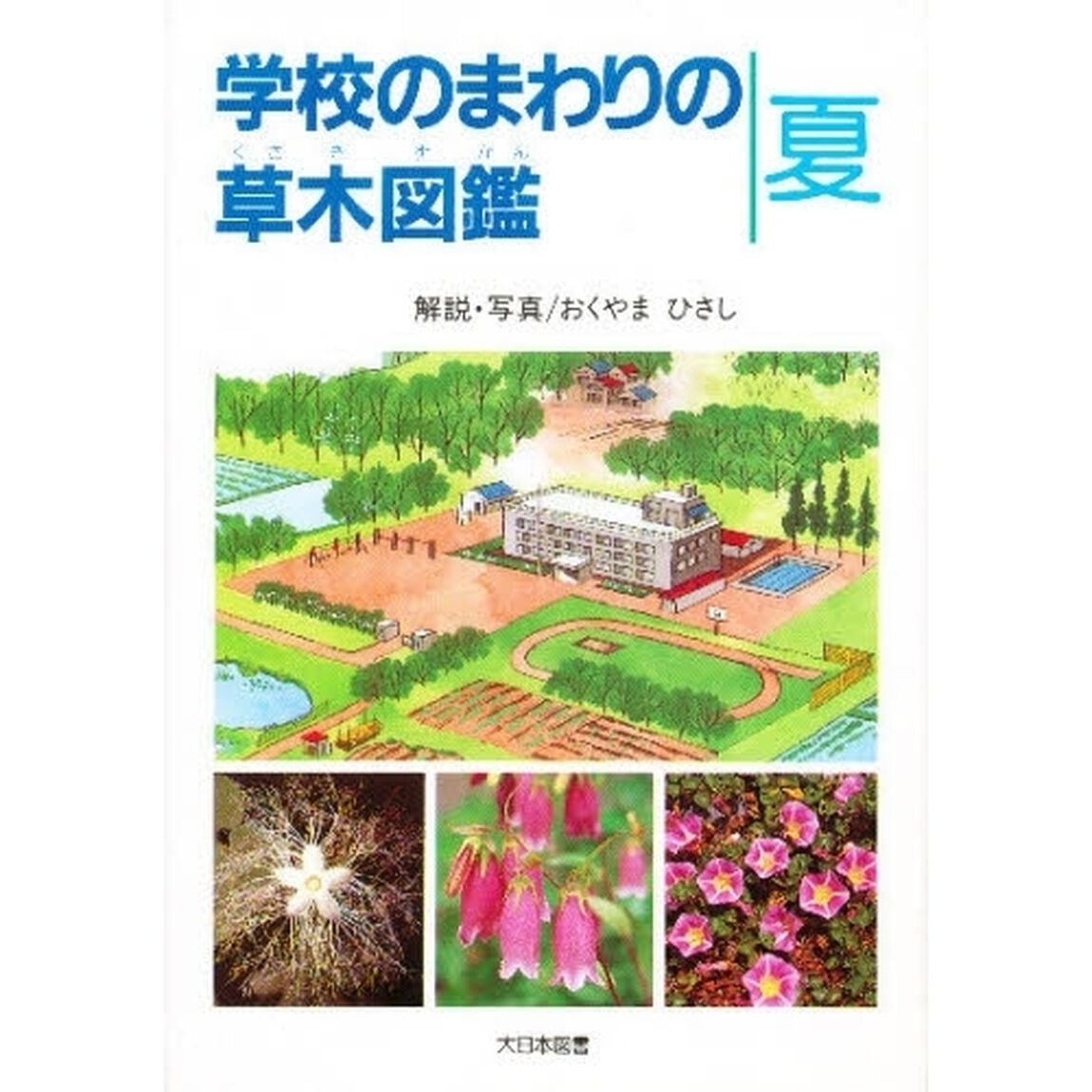 学校のまわりの草木図鑑　夏