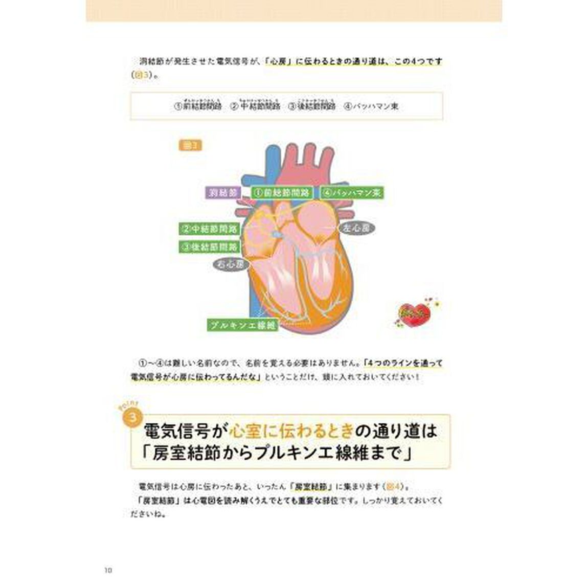 看護がわかルー心電図