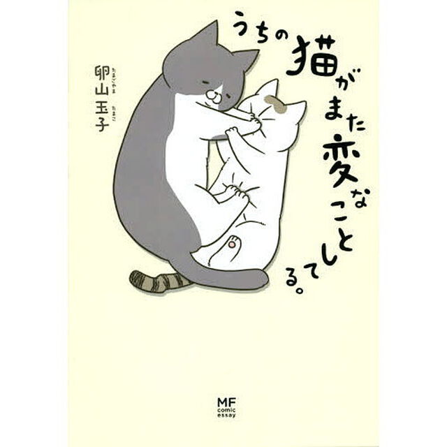 うちの猫がまた変なことしてる。