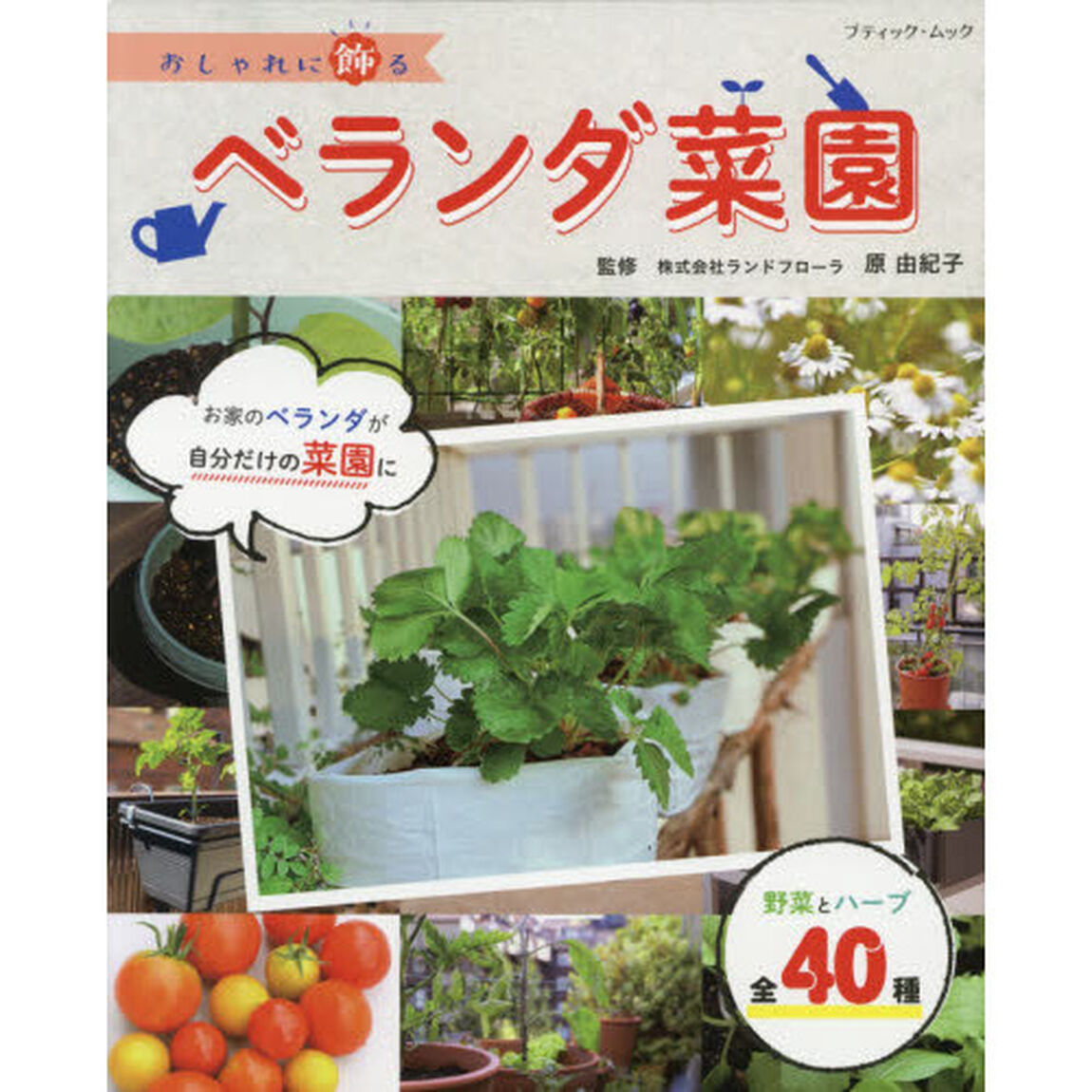 おしゃれに飾るベランダ菜園