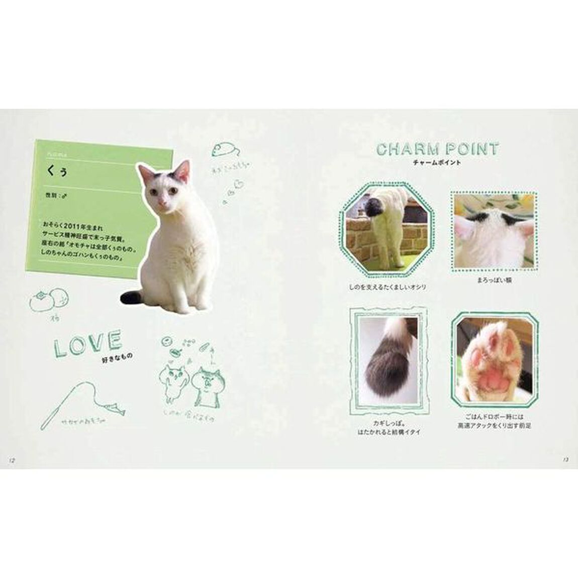 くぅとしの　認知症の犬しのと介護猫くぅ