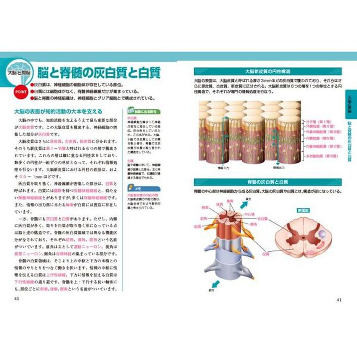 脳・神経のしくみ　オールカラー「新版」