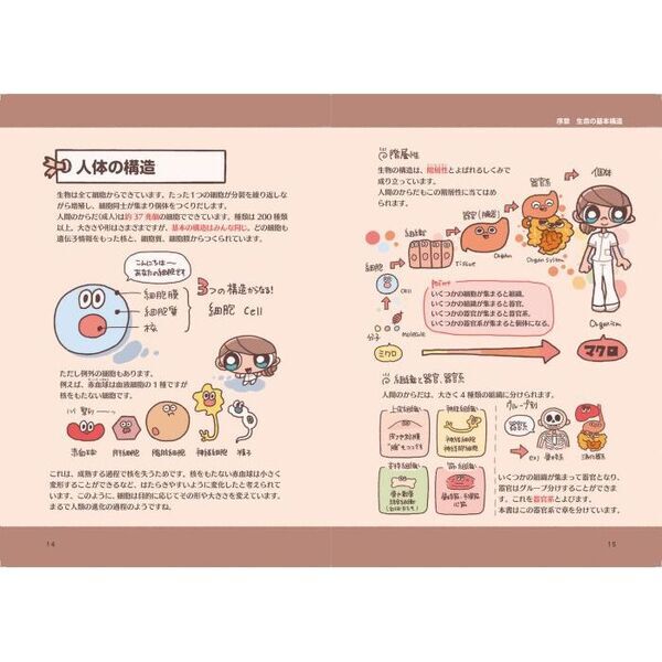 からだずかん ゆるっとポップな解剖生理学 - 通販｜セブンネット