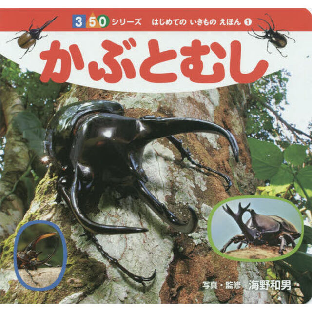 かぶとむし