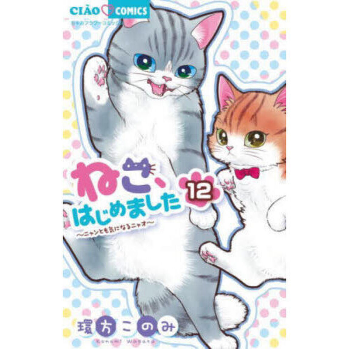 ねこ、はじめました　１２