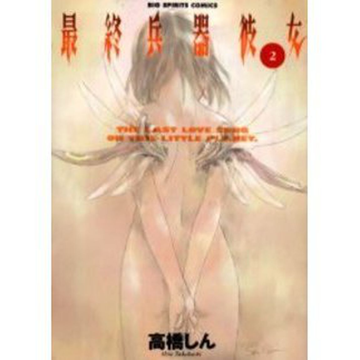 最終兵器彼女　　　２