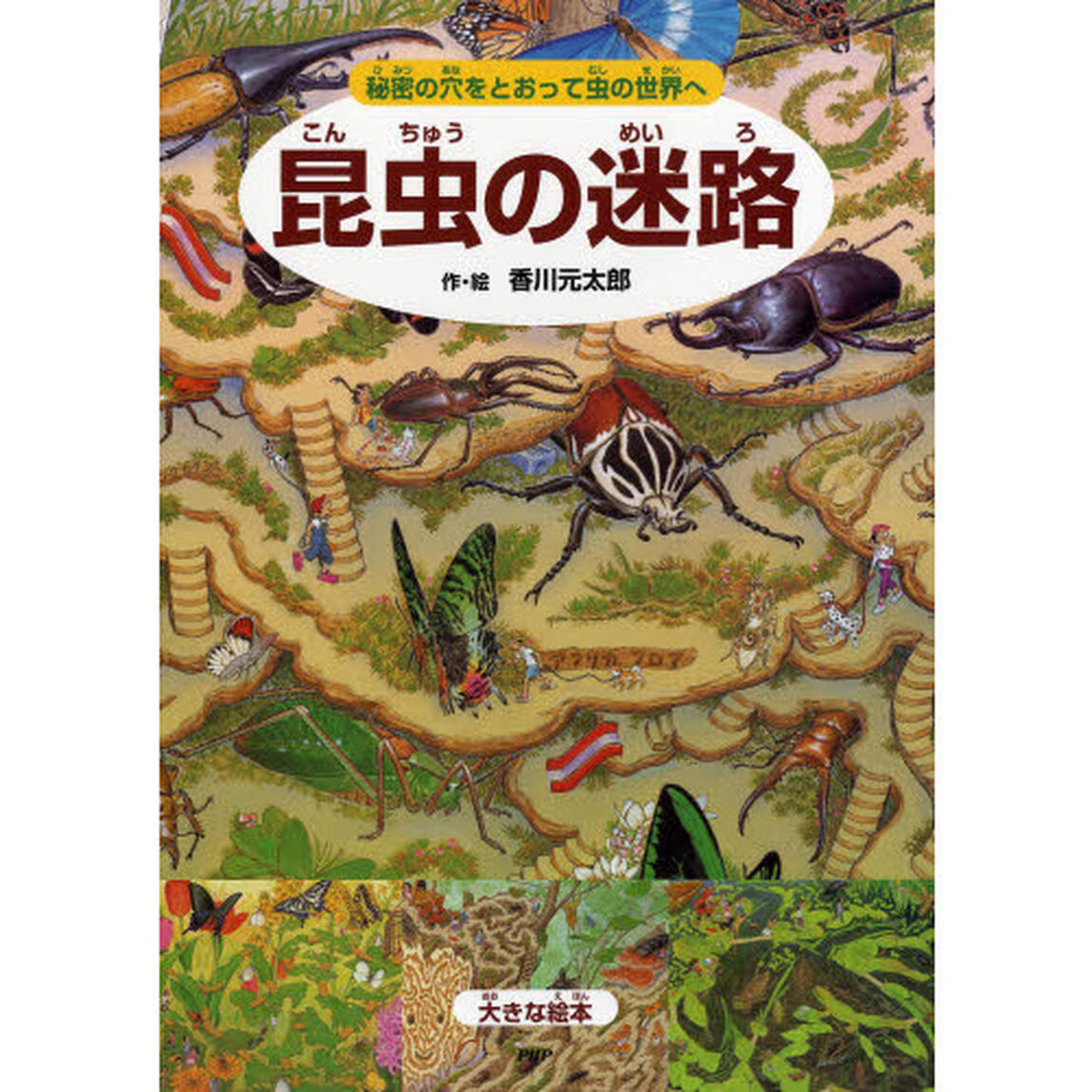 昆虫の迷路　秘密の穴をとおって虫の世界へ