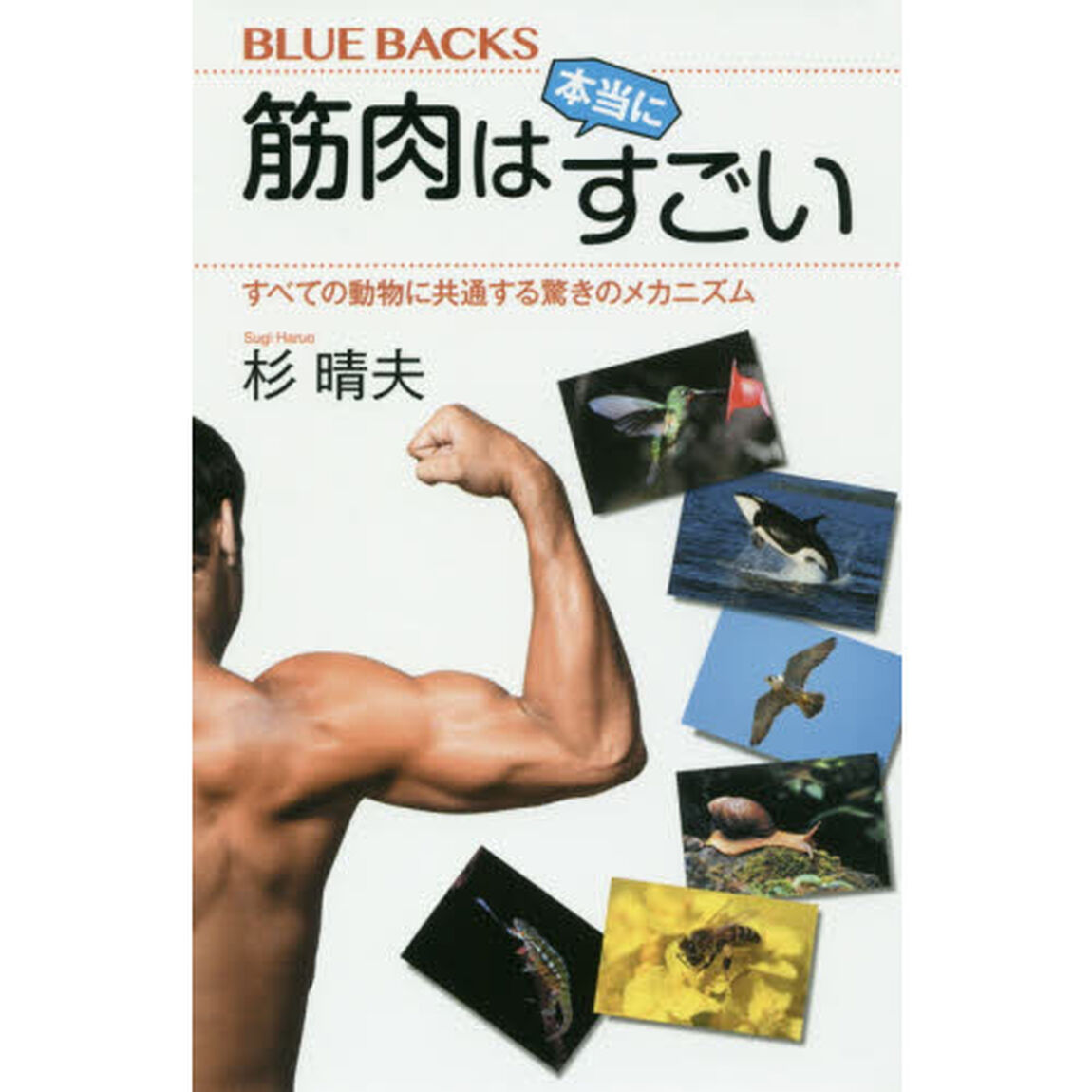 筋肉は本当にすごい　すべての動物に共通する驚きのメカニズム