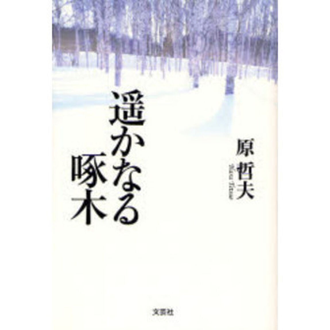 遥かなる啄木