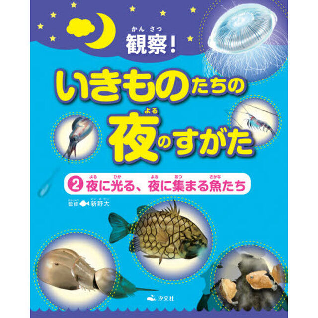 観察！いきものたちの夜のすがた　２「夜に光る、夜に集まる魚たち」