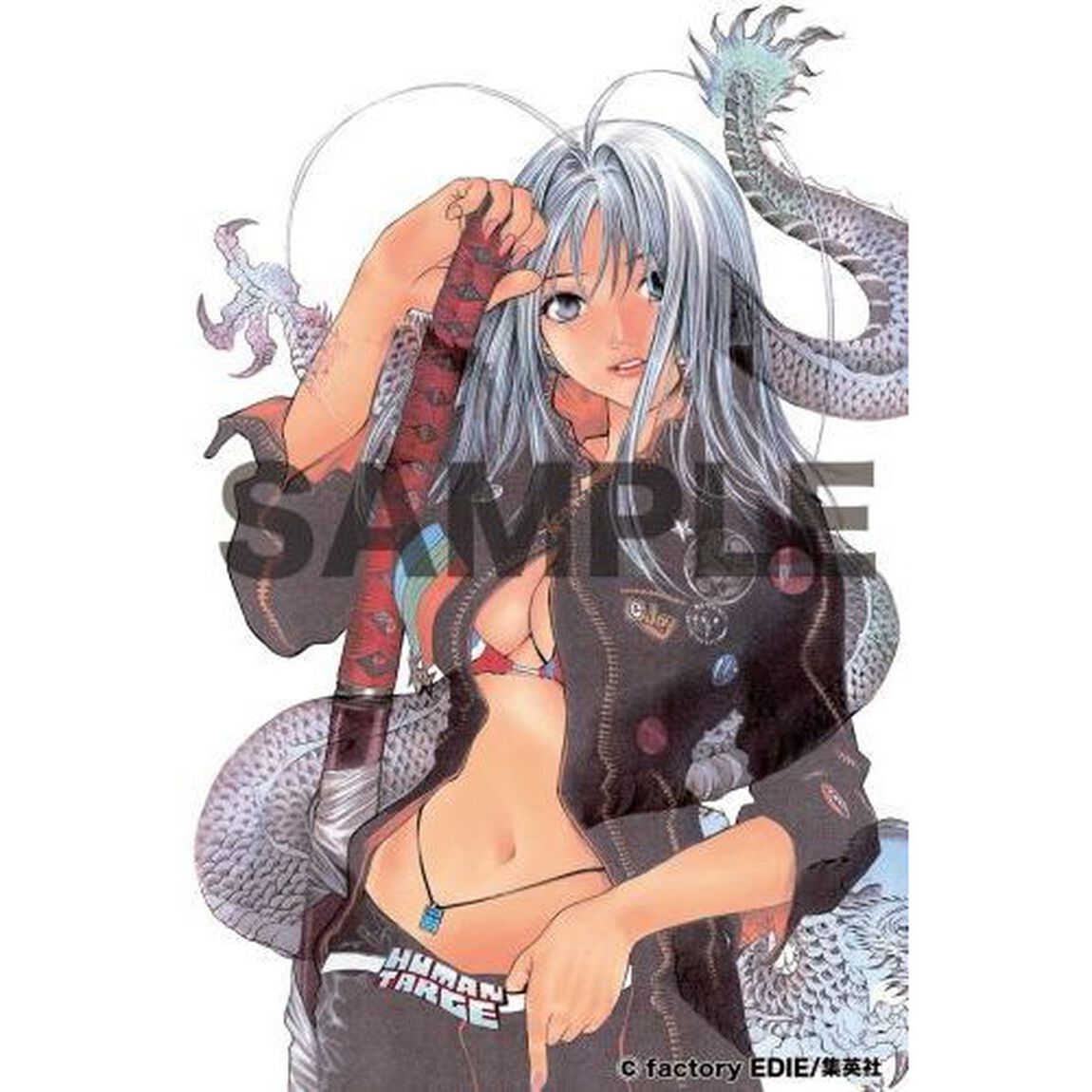 ＆　Ｂｌａｓｔ　大暮維人画集