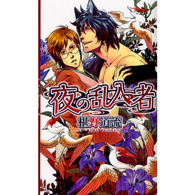 夜の乱入者