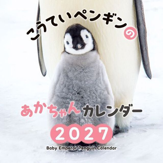こうていペンギンのあかちゃんカレンダー2027