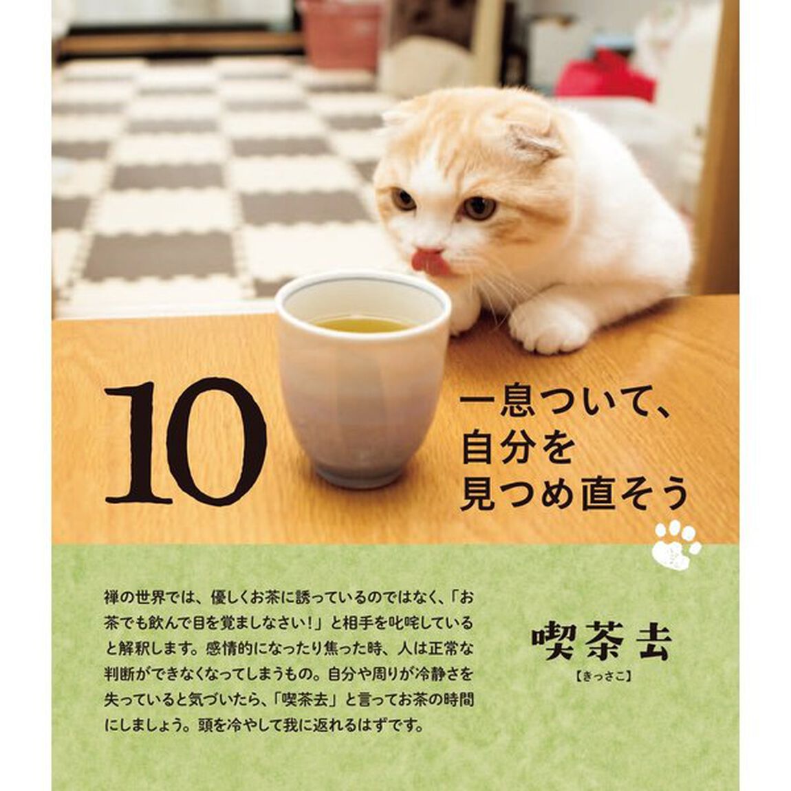 日めくり　日日是「ねこ禅」