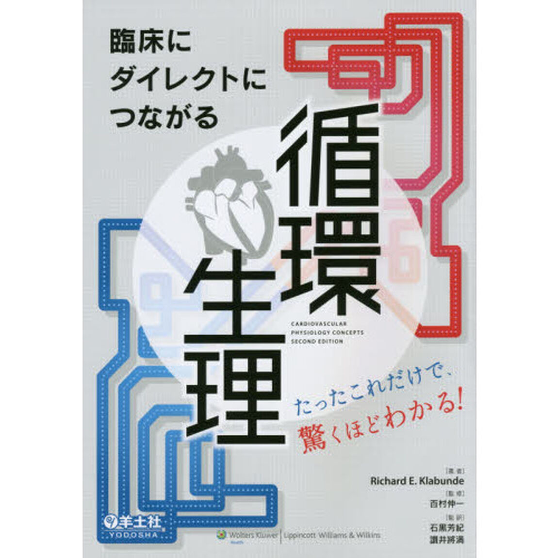 臨床にダイレクトにつながる循環生理　たったこれだけで、驚くほどわかる！
