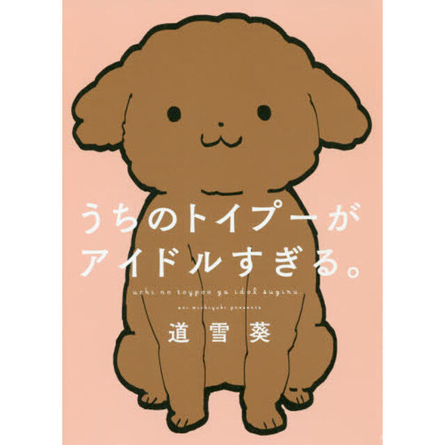 うちのトイプーがアイドルすぎる。