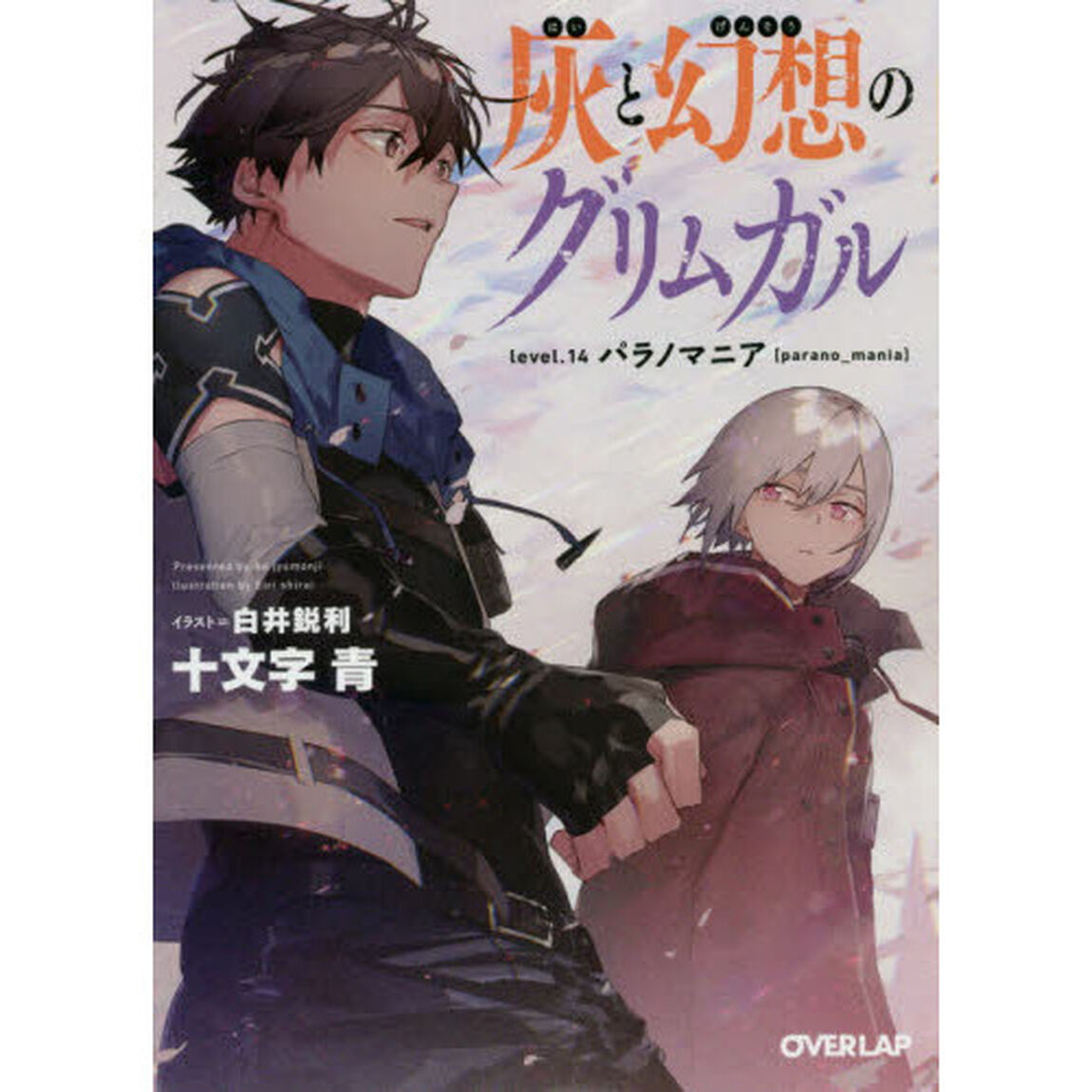 灰と幻想のグリムガル　１４「パラノマニア〈ｐａｒａｎｏ＿ｍａｎｉａ〉」