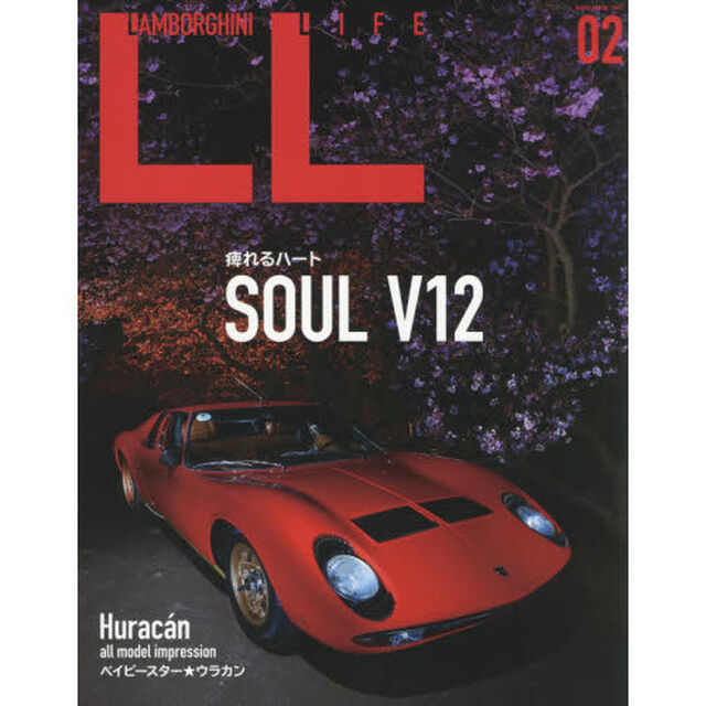 ＬＡＭＢＯＲＧＨＩＮＩ　ＬＩＦＥ　０２「ＳＯＵＬ　Ｖ１２」