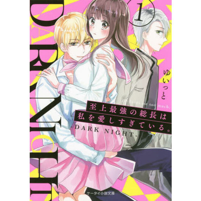 至上最強の総長は私を愛しすぎている。　ＤＡＲＫ　ＮＩＧＨＴ　１