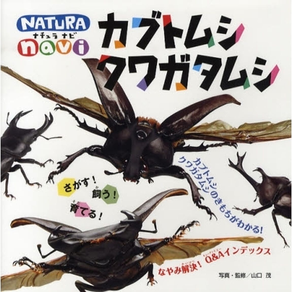 カブトムシ　クワガタムシ　さがす！飼う！育てる！