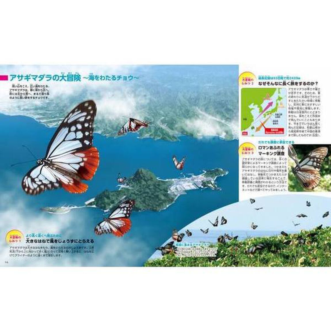 昆虫「新訂版」