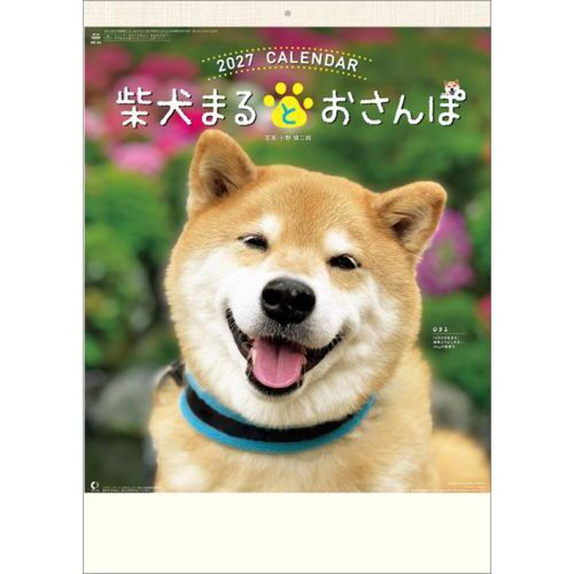柴犬まるとおさんぽ　2027年カレンダー