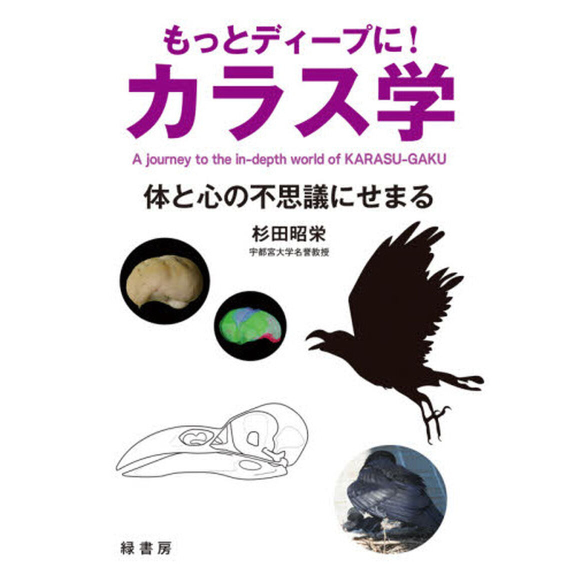 もっとディープに！カラス学　体と心の不思議にせまる