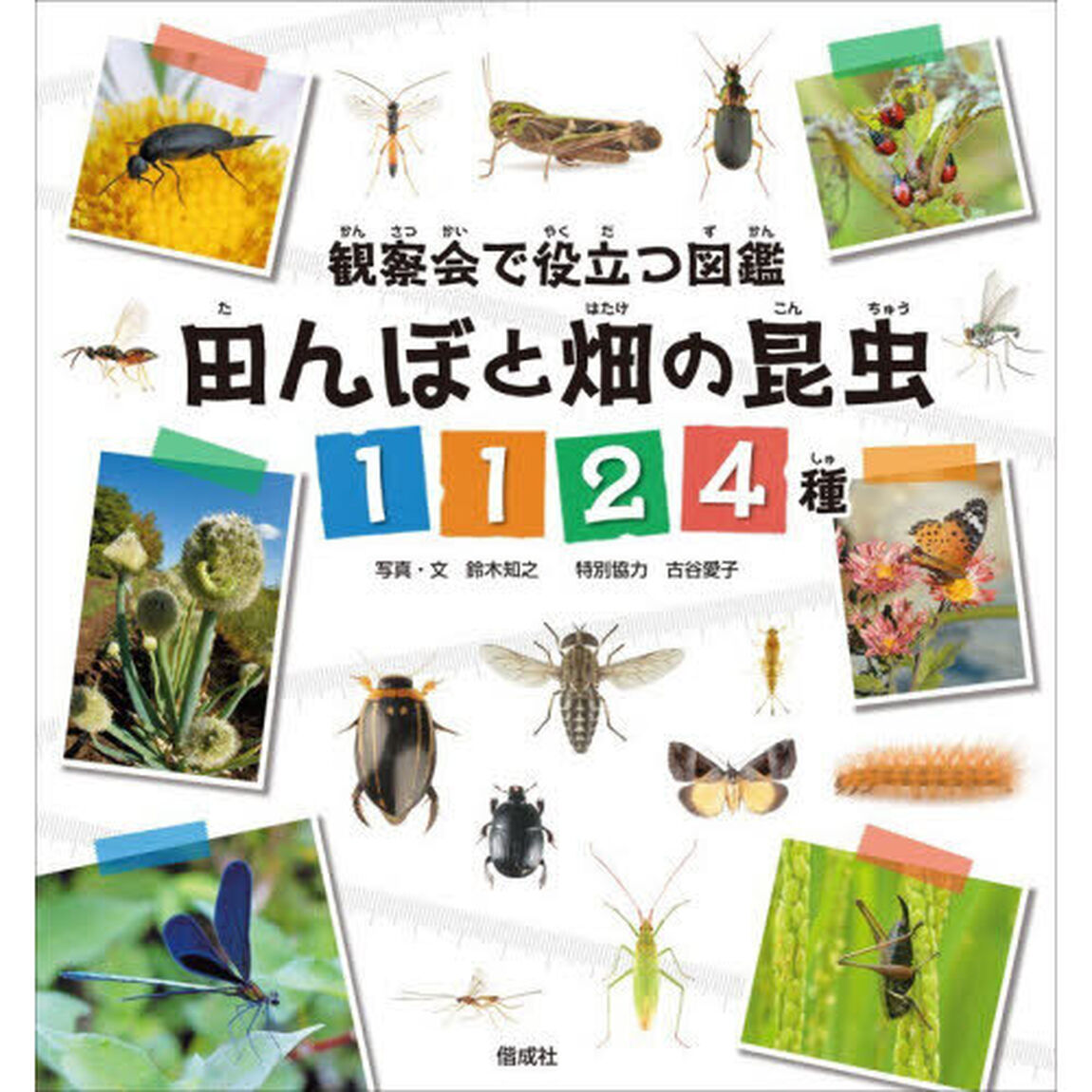 田んぼと畑の昆虫１１２４種　観察会で役立つ図鑑