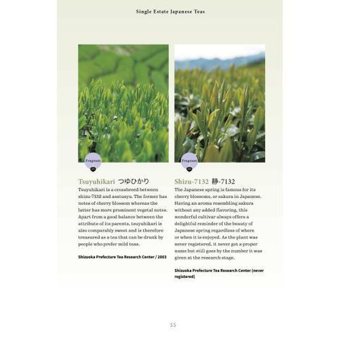Ａ　Ｂｅｇｉｎｎｅｒ&rsquo;ｓ　Ｇｕｉｄｅ　ｔｏ　Ｊａｐａｎｅｓｅ　Ｔｅａ　ＳＥＬＥＣＴＩＮＧ　ＡＮＤ　ＢＲＥＷＩＮＧ　ＴＨＥ　ＰＥＲＦＥＣＴ　ＣＵＰ　ＯＦ　ＳＥＮＣＨＡ，　ＭＡＴＣＨＡ　ＡＮＤ　ＯＴＨＥＲ　ＪＡＰＡＮＥＳＥ　ＴＥＡＳ