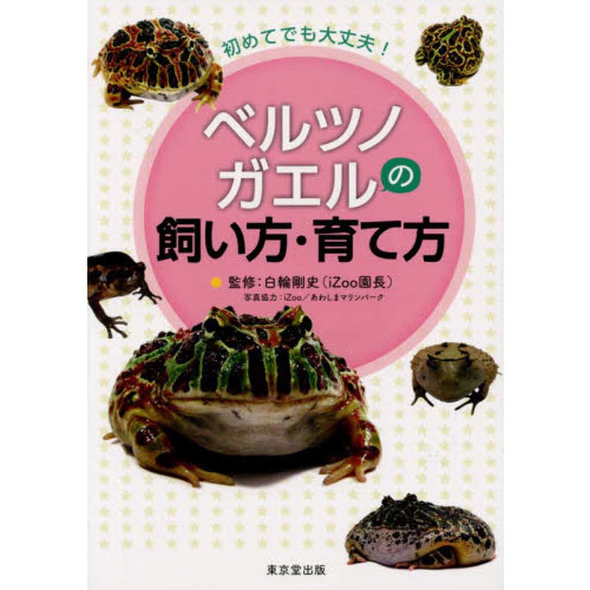 ベルツノガエルの飼い方・育て方　初めてでも大丈夫！