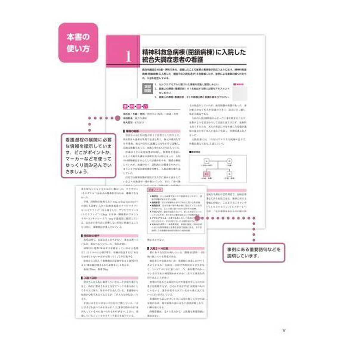 事例で学ぶ看護過程精神看護学　みてわかるできる　映像