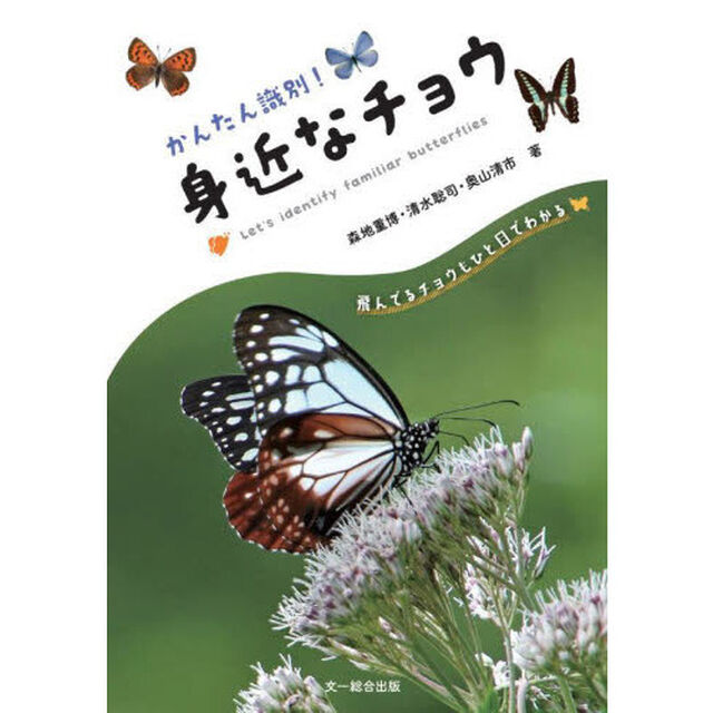 かんたん識別！身近なチョウ