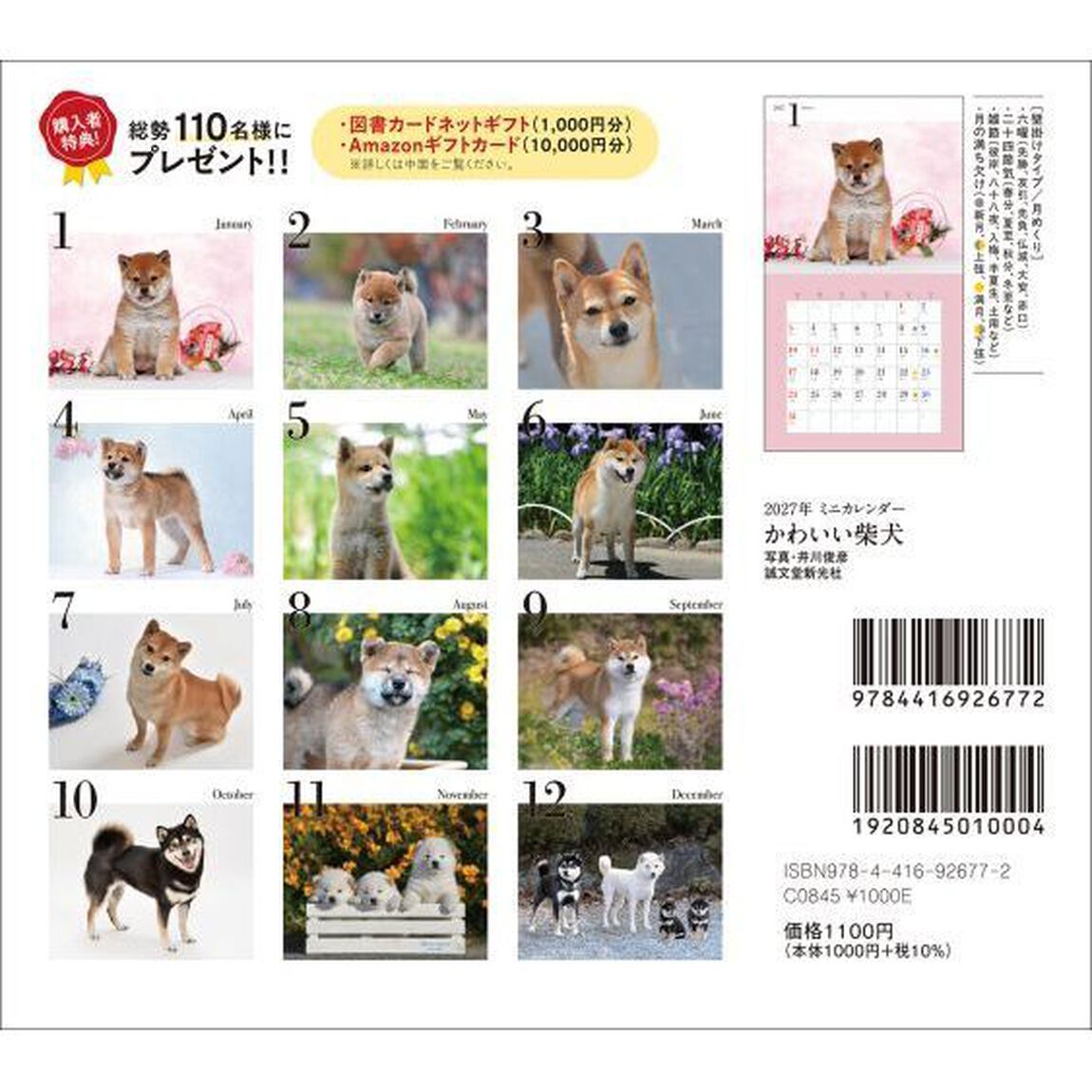 &rsquo;２７　カレンダーかわいい柴犬