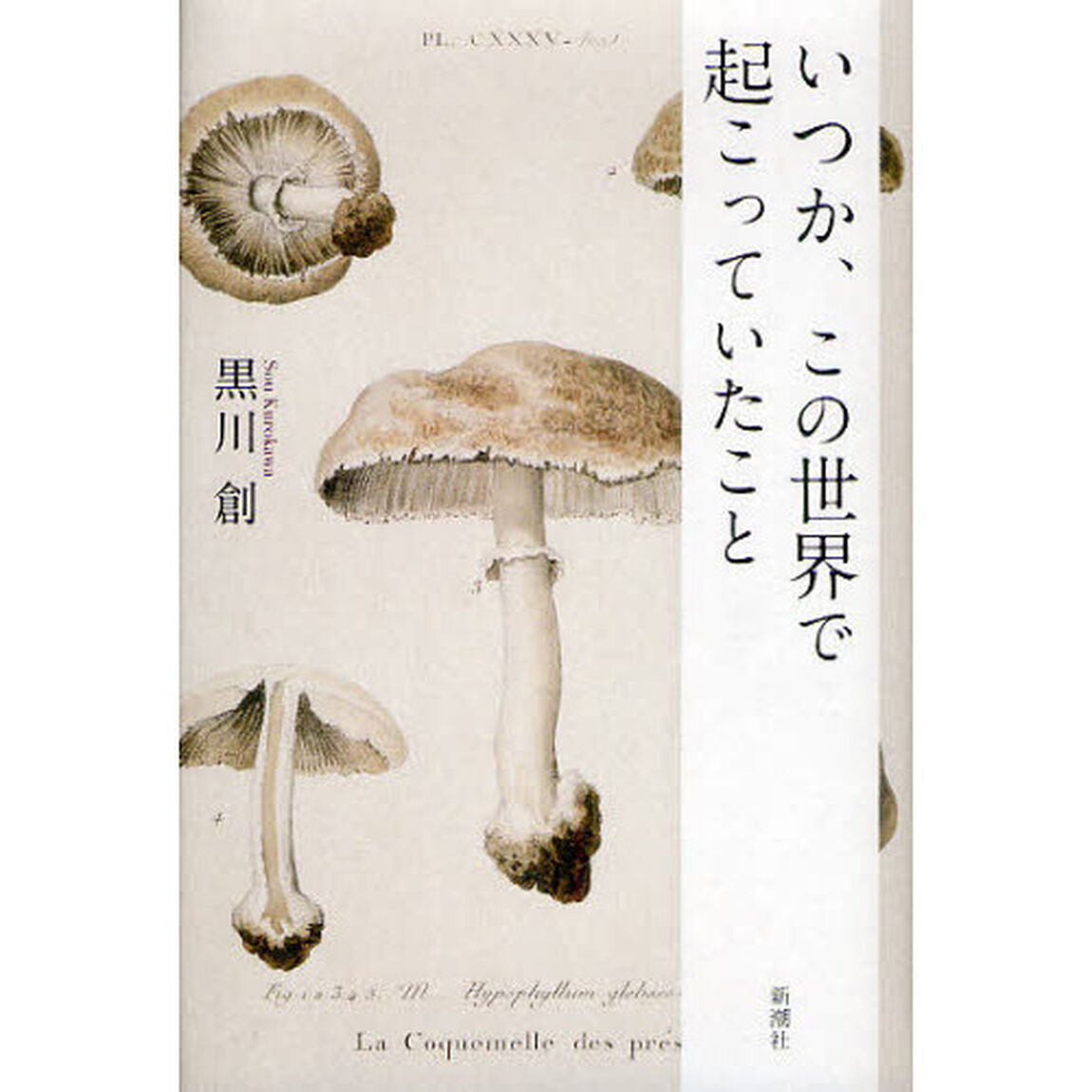 いつか、この世界で起こっていたこと