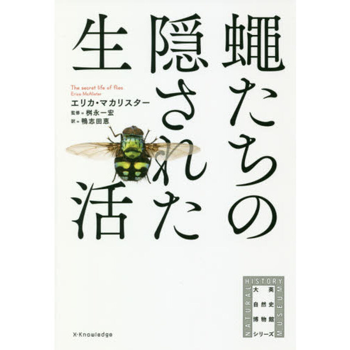 蠅たちの隠された生活