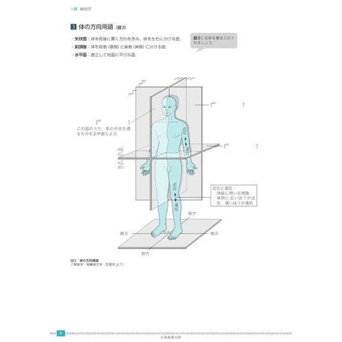 歯科衛生士書き込み式学習ノート　２０２３年度１「専門基礎科目編　人体の構造と機能／歯・口腔の構造と機能／疾病の成り立ち及び回復過程の促進」