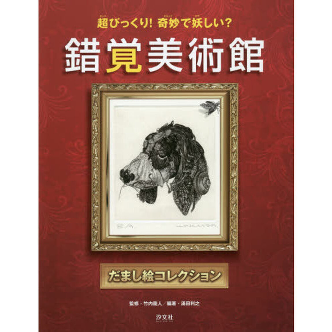 錯覚美術館　超びっくり！奇妙で妖しい？　だまし絵コレクション