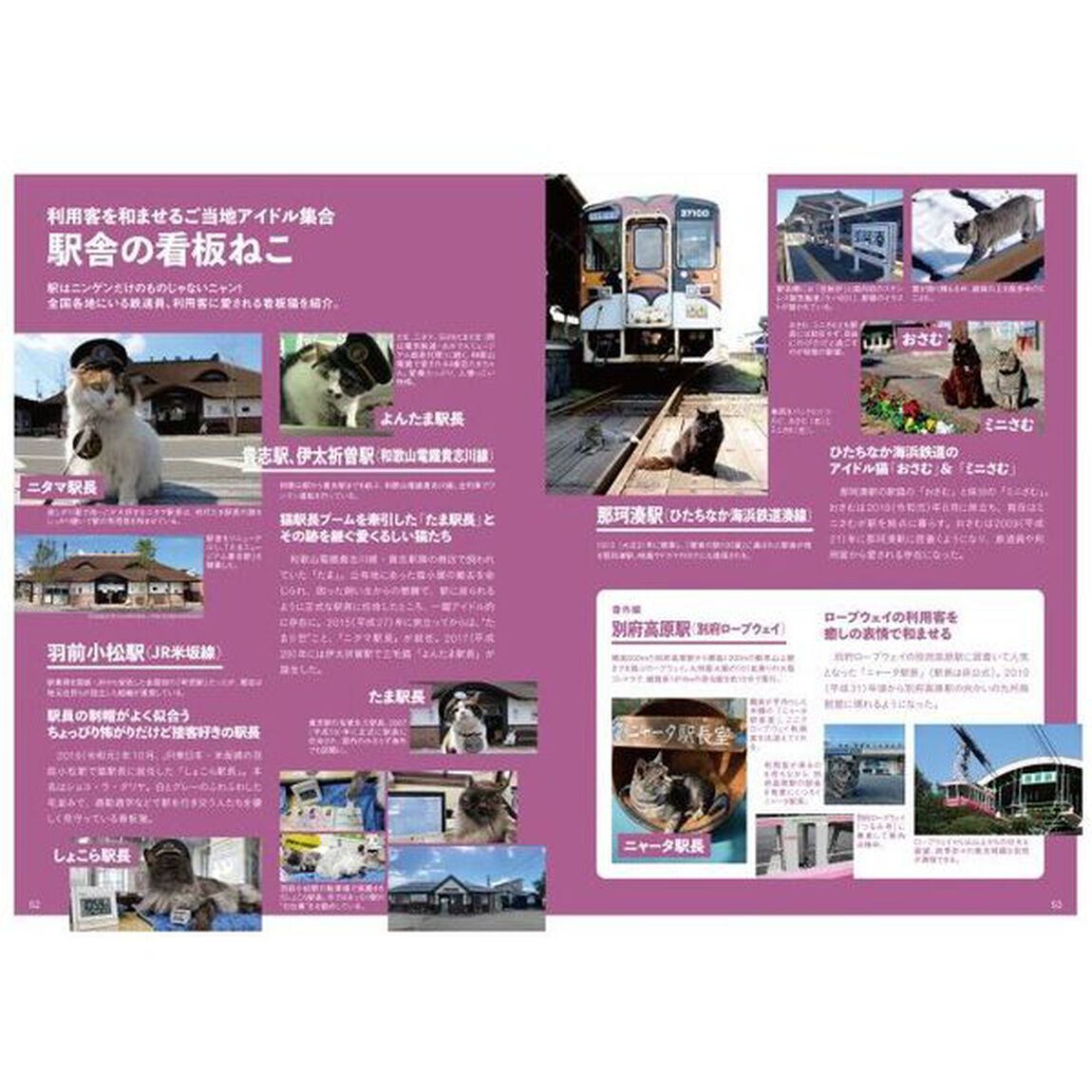 駅　駅の基礎知識／駅で働く人たち／全国駅舎探訪／巨大ダンジョン駅解剖／「駅名」の謎をひも解く　知っておきたいキホンの知識から、名駅舎、迷宮駅まで、「駅」のことがまるわかり！