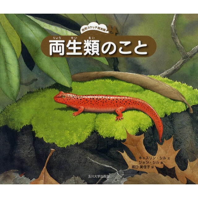 両生類のこと