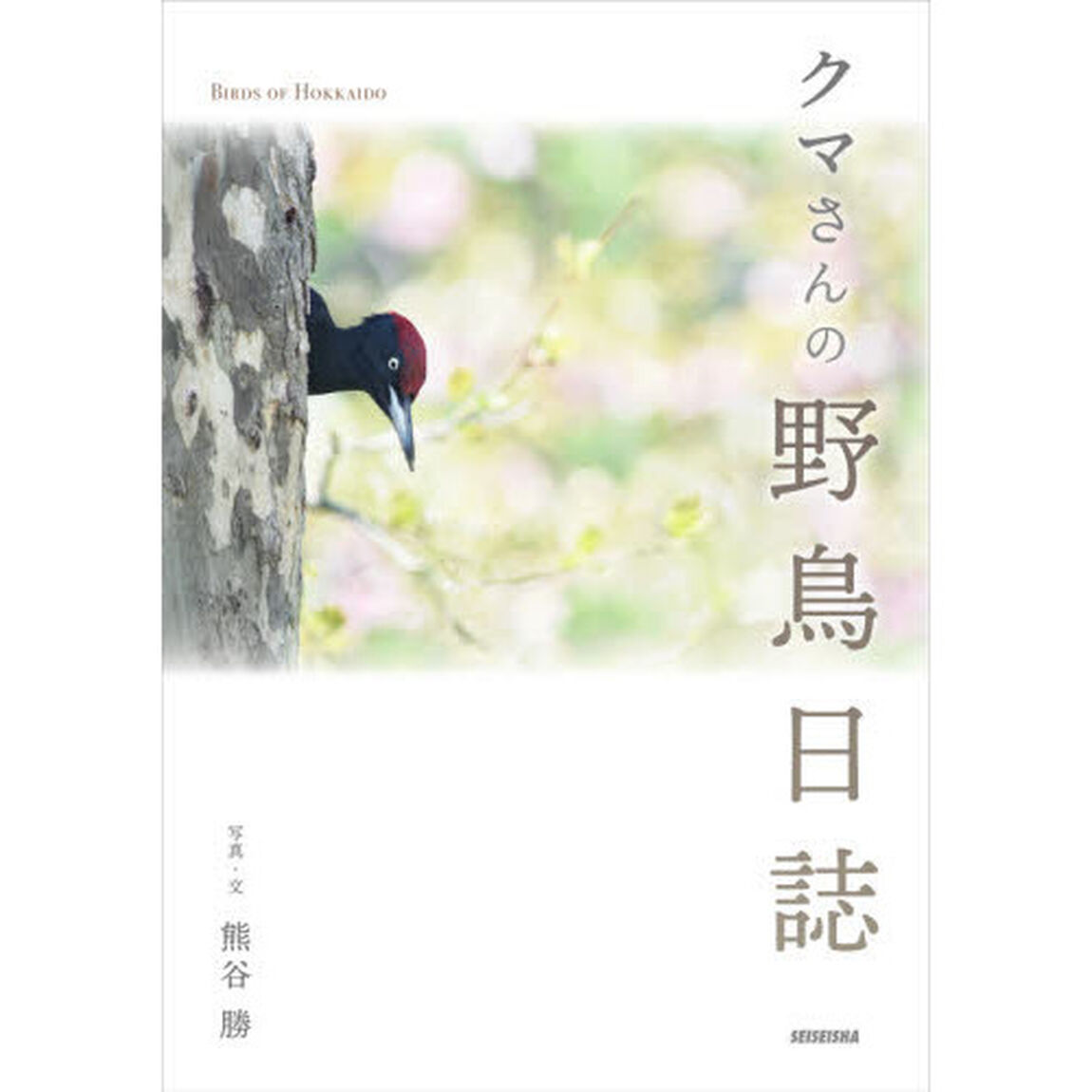 クマさんの野鳥日誌　ＢＩＲＤＳ　ＯＦ　ＨＯＫＫＡＩＤＯ