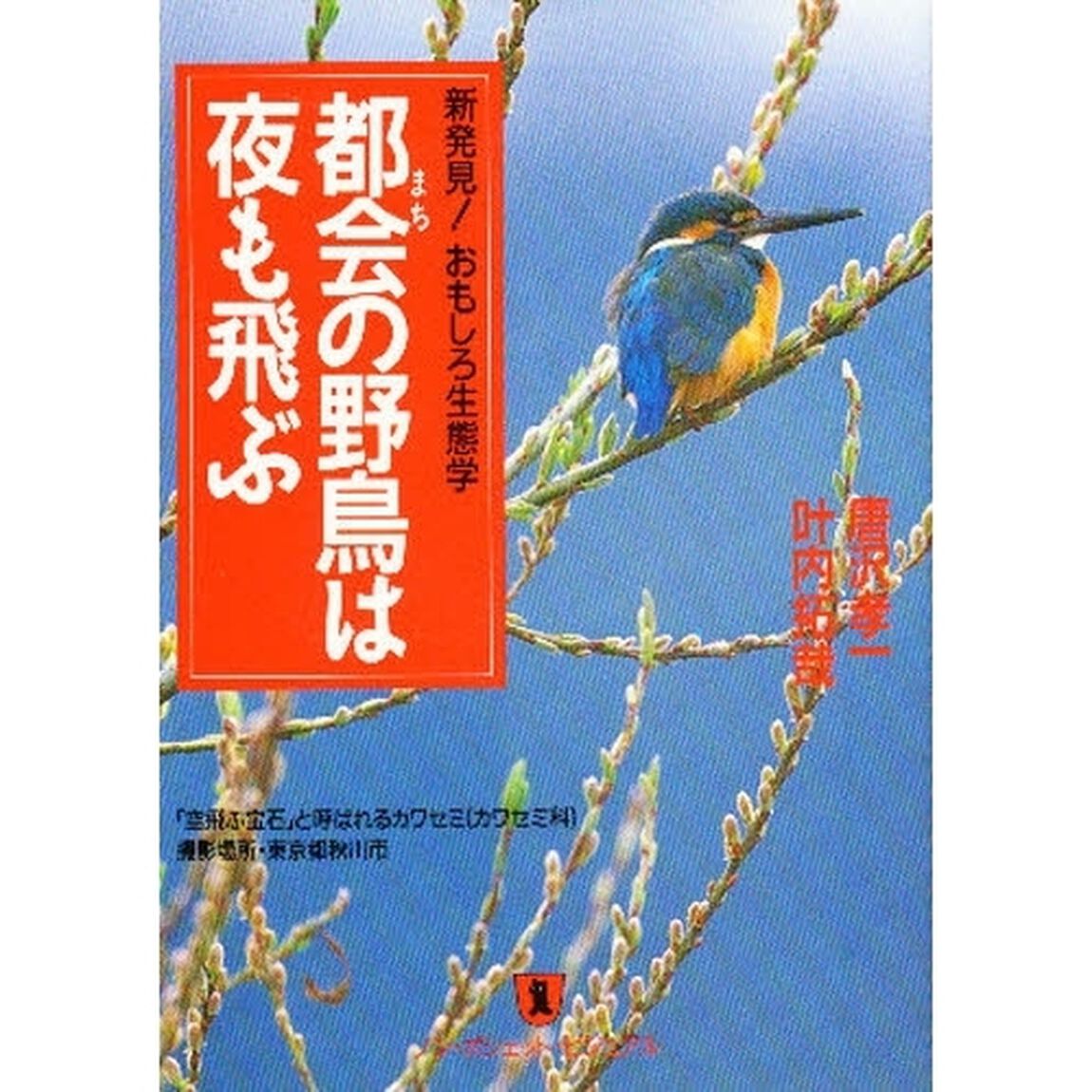 都会（まち）の野鳥は夜も飛ぶ　新発見！おもしろ生態学