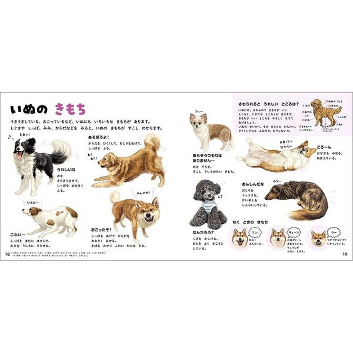 いぬのずかん　家いぬと野生いぬ