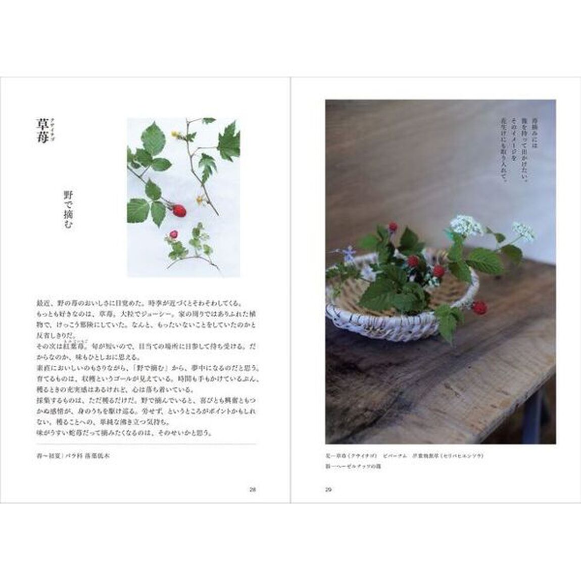 百実帖