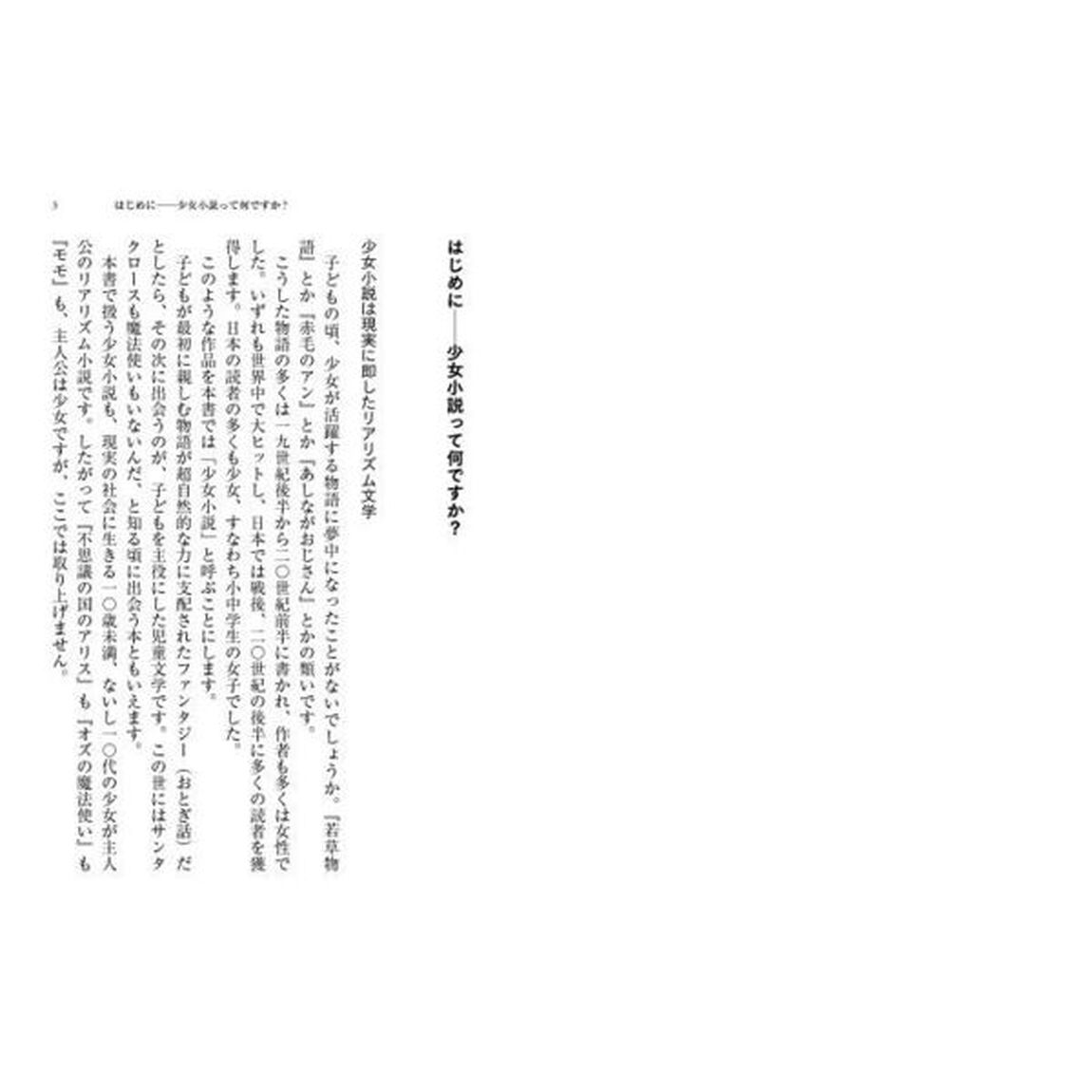 挑発する少女小説