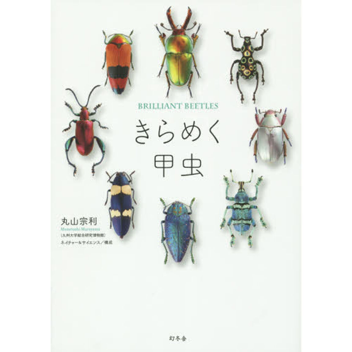 きらめく甲虫